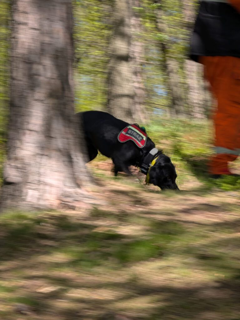 SAR Academy - Wieżyca 2026, OSP JRS Wrocław